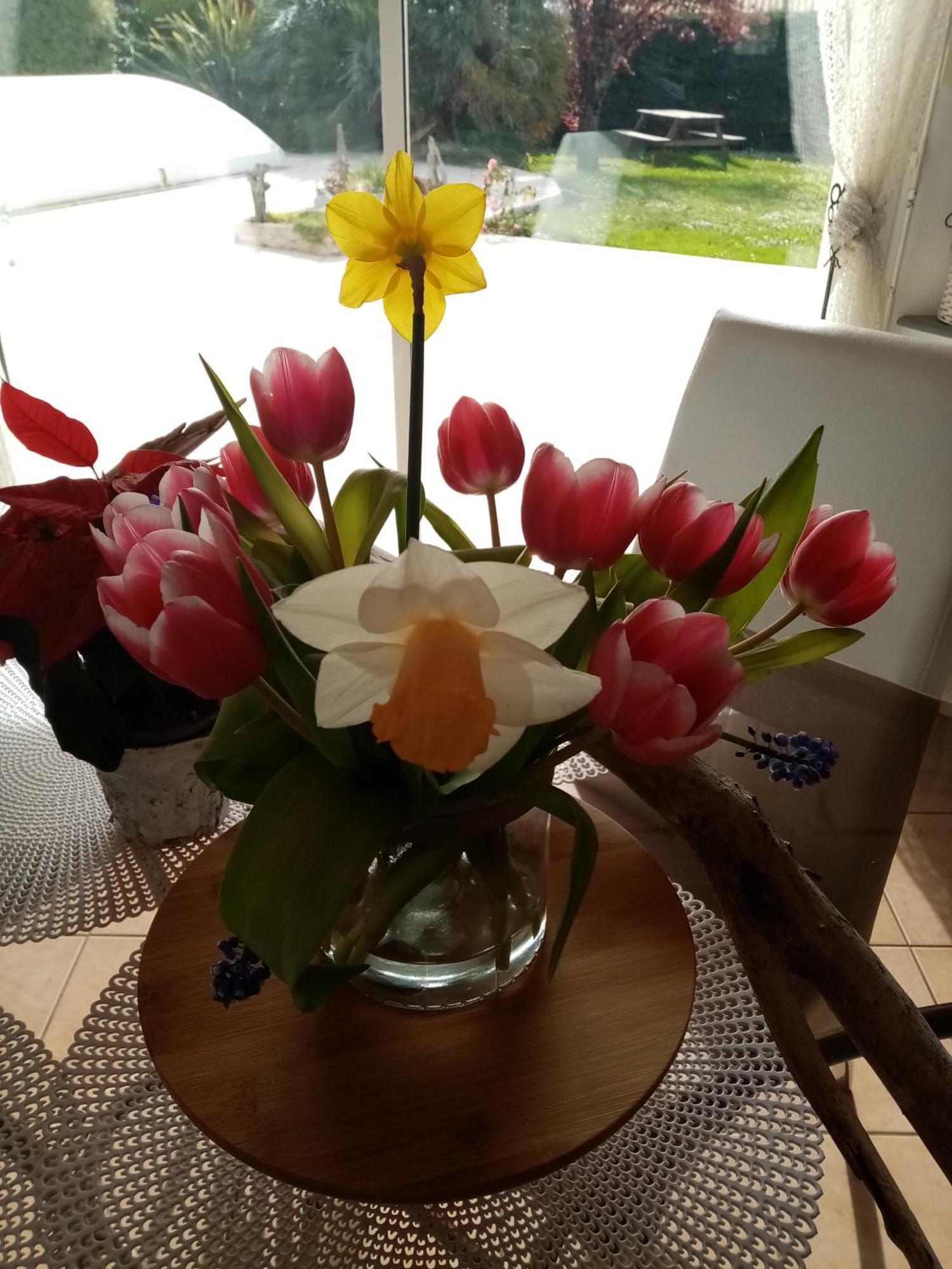 L'eden naturiste Challans Kamer foto